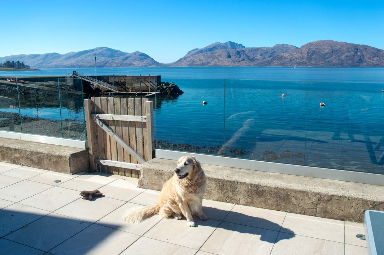 A golden retriever sitting on the sea-view decking, Loch Linnhe and the hills behind